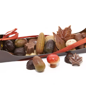 AUTOMNE ECRIN 300G